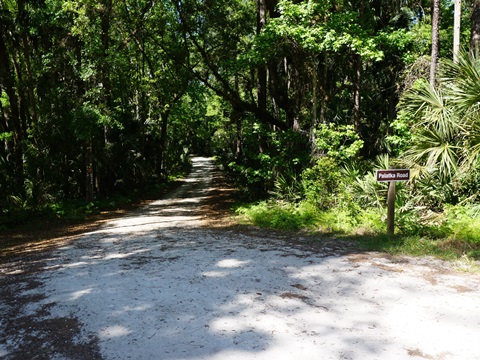 Seminole State Forest, eco-biking