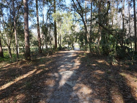 Shingle Creek Management Area