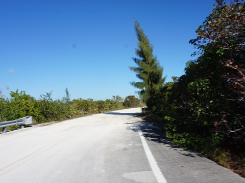 Everglades, Southern Glades Trail
