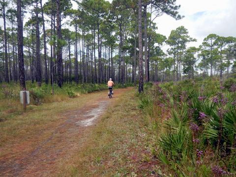 Topsail Hill Preserve State Park, Santa Rosa Beach, Florida eco-biking and hiking