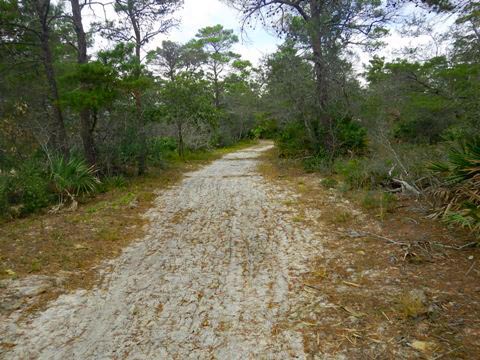 Topsail Hill Preserve State Park, Santa Rosa Beach, Florida eco-biking and hiking