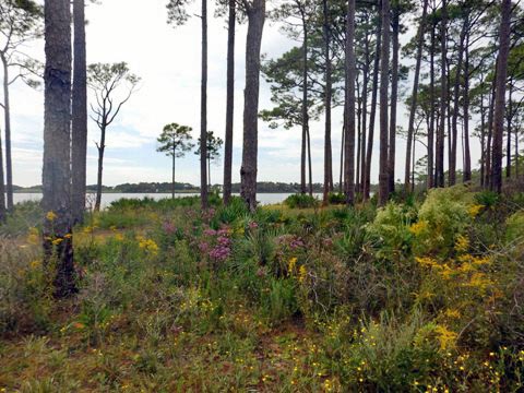 Topsail Hill Preserve State Park, Santa Rosa Beach, Florida eco-biking and hiking