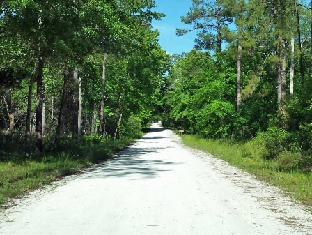 Tosohatchee WMA
