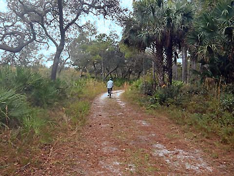 Wekiwa Springs State Park