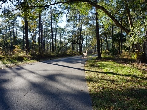 Wekiva Springs State Park