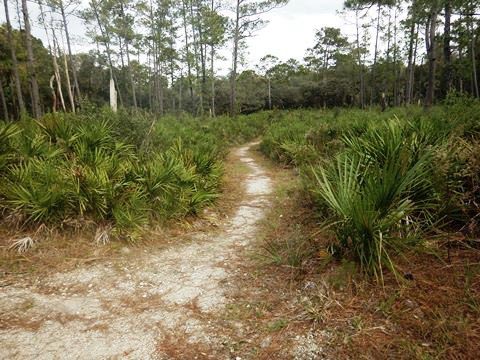 Wekiva Springs State Park