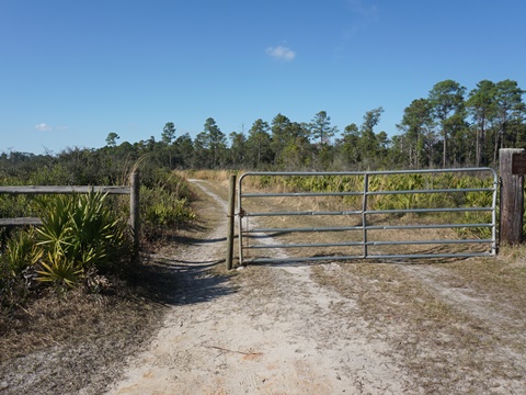 Wekiva Springs State Park