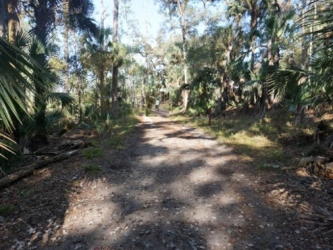 Wekiva Springs State Park