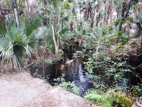 Wekiva Springs State Park