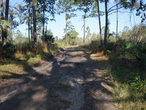 Wekiva Springs State Park