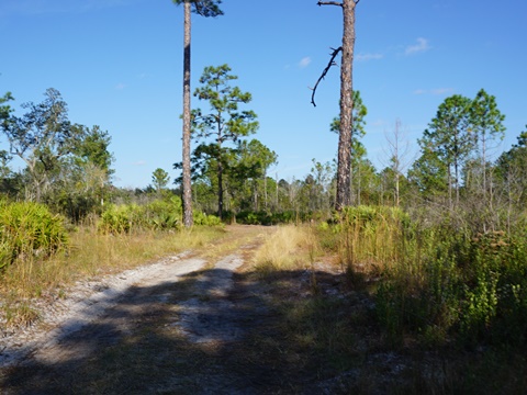 Wekiva Springs State Park