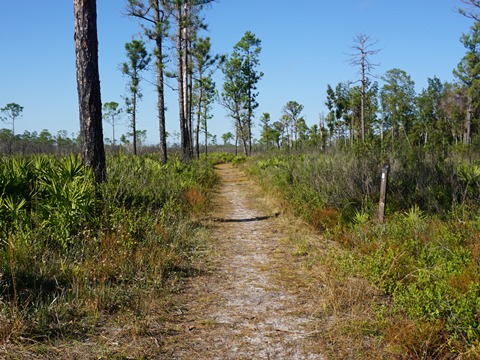 Wekiva Springs State Park