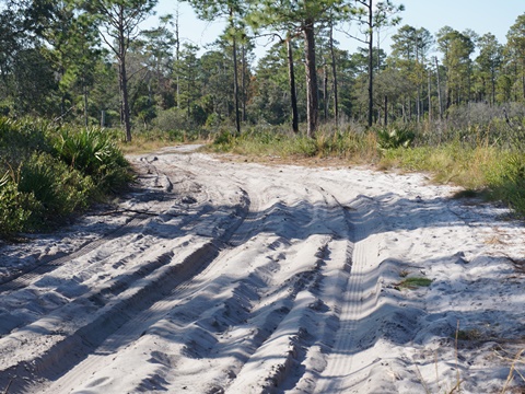 Wekiva Springs State Park