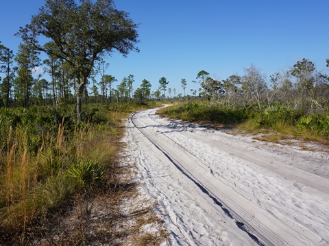 Wekiva Springs State Park
