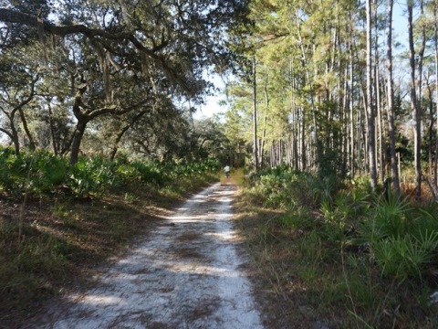 Wekiva Springs State Park