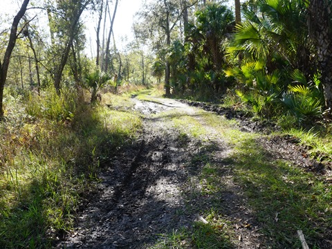 Wekiva Springs State Park