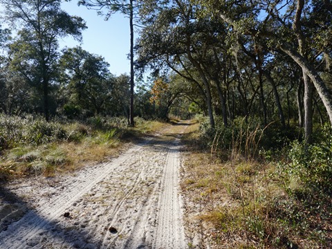 Wekiva Springs State Park