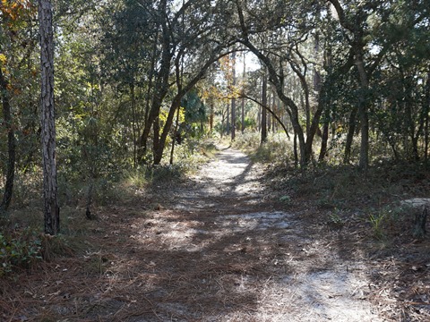 Wekiva Springs State Park