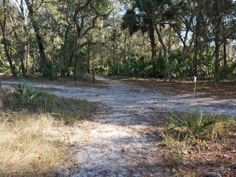 Wekiva Springs State Park