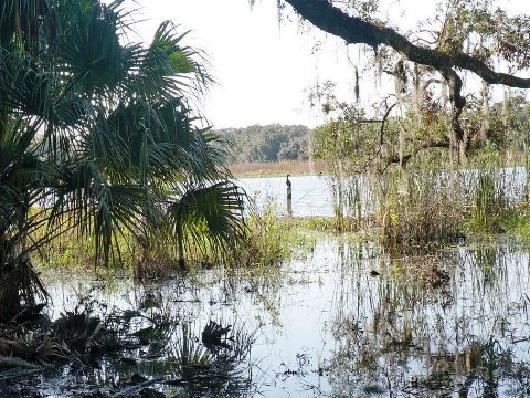 Wekiva Springs State Park