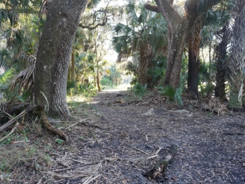 Wekiva Springs State Park