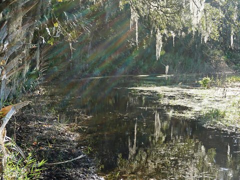 Wekiva Springs State Park