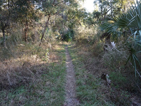 Wekiva Springs State Park