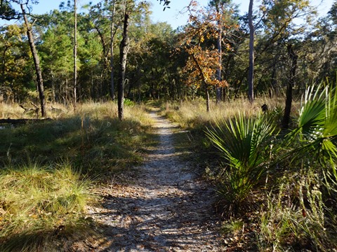 Wekiva Springs State Park