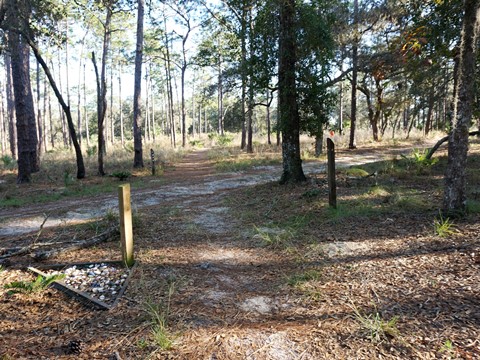Wekiva Springs State Park