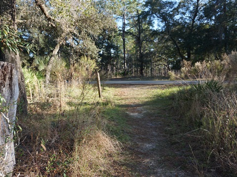 Wekiva Springs State Park