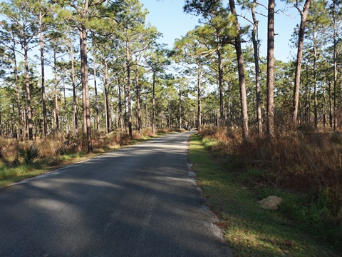 Wekiva Springs State Park