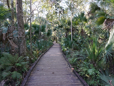 Wekiva Springs State Park
