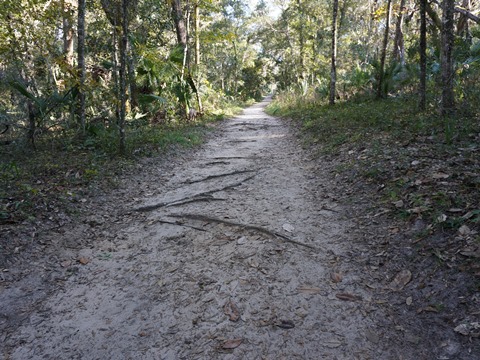 Wekiva Springs State Park