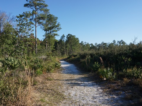 Wekiva Springs State Park
