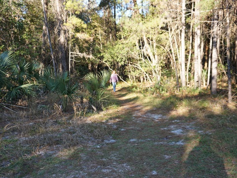 Wekiva Springs State Park