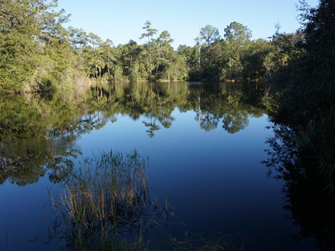 Wekiva Springs State Park