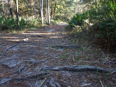 Wekiva Springs State Park
