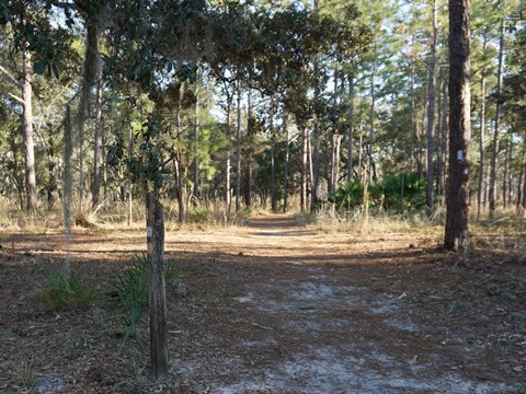 Wekiva Springs State Park