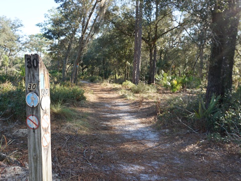 Wekiva Springs State Park