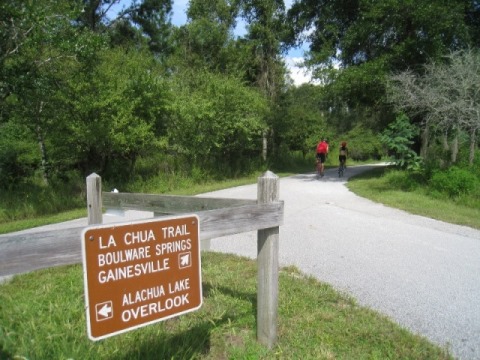 Alachua Lake Overlook