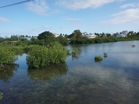Florida Keys biking