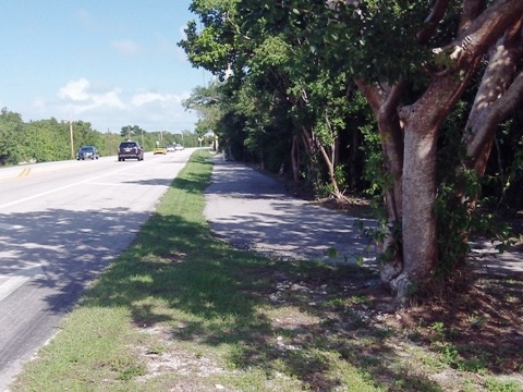 Florida Keys biking