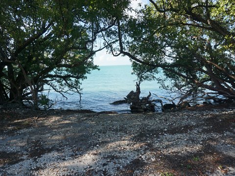 Florida Keys biking