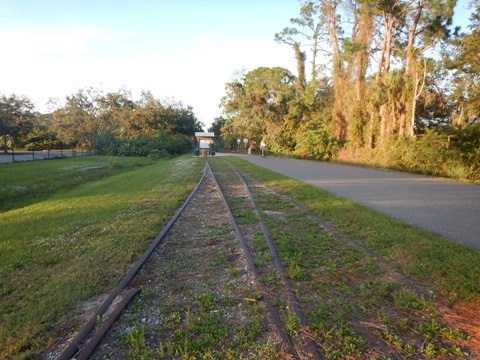 Legacy Trail, Venice to Sarasota, FL biking