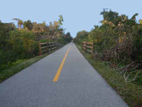 Legacy Trail, Venice to Sarasota, FL biking