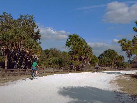 Legacy Trail, Venice to Sarasota, FL biking