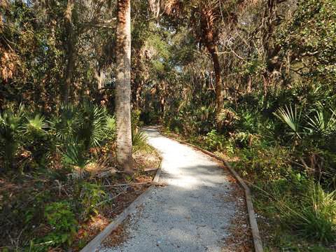 Legacy Trail, Venice to Sarasota, FL biking