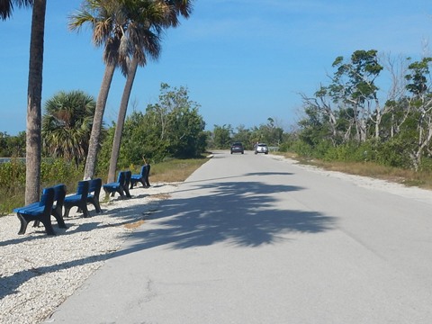 Sanibel Island Biking, Ding Darling