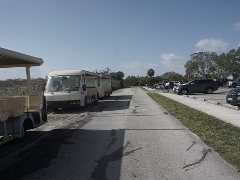 Everglades, Shark Valley