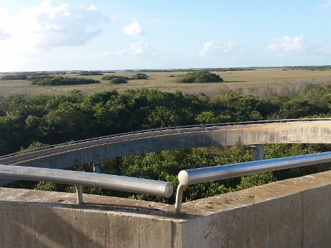 Everglades, Shark Valley